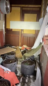 Abandoned 1 .2 million pound cannabis factory Oldham Found inside a old pub in Oldham police seized the property to find £1 million pounds worth of cannabis Exploring with Jake No Limits #abandonedplaces #urbex #foryouシ #fblifestylechallenge | Exploring with Jake