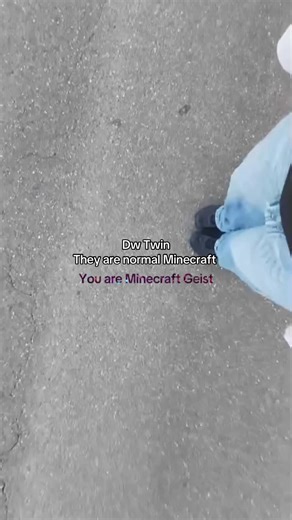 Exploring Normal Minecraft Gameplay with Dw Twin