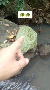 2.9K views · 51 reactions | Turtle formation  #YamashitaTreasure | Wenlies Tibi | Facebook