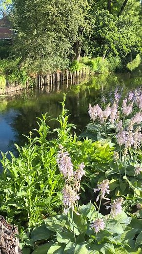 英国鲜花小镇--坎特伯雷