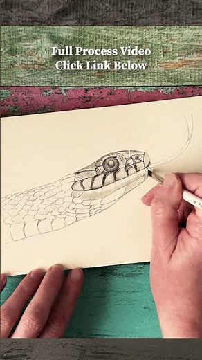 How to draw a realistic snake #animalart #drawing #art