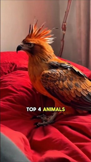 Top 4 Animals Born with Impossible Mutations!😱