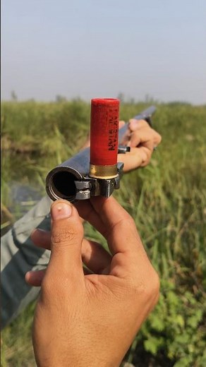 Shotgun Barrel vs 12 Gauge Ammo: The Ultimate Test