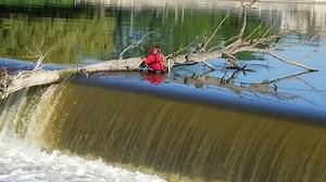 5.1K views · 300 reactions | Now that water levels have receded, the tree that had washed away from an earlier storm and got stuck in the Fox River dam has been “rescued!” One of our firefighters suited up in swift water rescue suit and was tethered to a safety crew on the shore so he could lasso the huge tree. Then our public works crews used a winch on an electric services line truck to pull it out of the river. | City of St. Charles, Illinois Government | Facebook