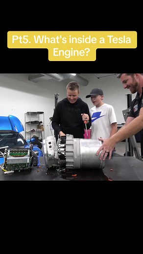 Sunflower… on TikTok