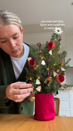 What’s better than a real tree, straight through the letterbox? One that comes with super-cute decorations. And can be replanted to use again. New obsession unlocked ✨ | Bloom & Wild