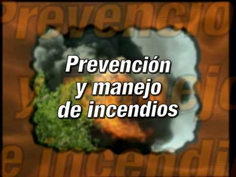 Spanish Fire Awareness and Safety Video - Español - Prevención y Manejo de Incendios Safetycare