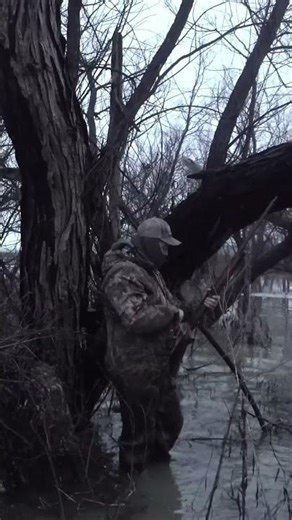 Epic Duck Hunt: Most Beautiful Thing Ever Seen! #shorts