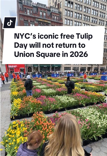 NYC’s annual, free Tulip Day was a celebration that rung in the Spring in 2024 and 2025, but sadly this year will look a little different. The celebration has moved to Washington D.C. instead! 🌷💐 Thankfully there may be OTHER tulip-related events this spring. We’ll report back here with all the details 🫡 . #nyc #freethingstodo #freethingstodoinnyc #thingstodoinnyc #tulipday