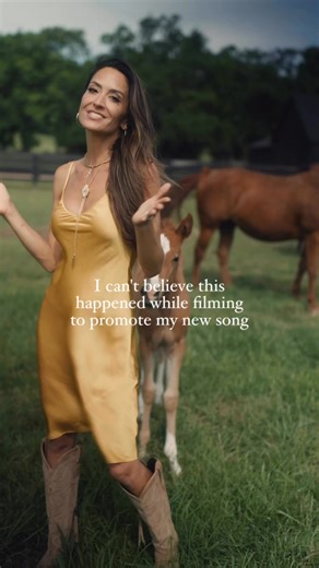 Sometimes God Winks through animals. 🥹🐴 "GOD WINKS" is out now! Download, stream and share y'all 🙏 #godwink #godwinks #signsinnature #signsfromgod #signsfromabove #foal #babyhorse #horsetherapy #upliftingmusic #countrymusic #christiancountry | Annie Bosko