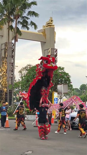 red lion and dragon in action