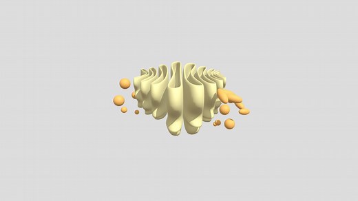 Golgi Apparatus/Complex - Download Free 3D model by MajoraMaster
