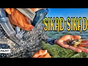 EP930-P1 - Sikad Sikad Forage and Cook