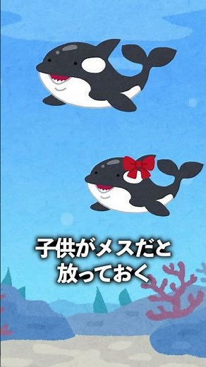Killer whales with poison