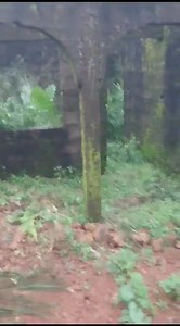 7.8K views · 134 reactions | City property for #sale @ $20,000 !!!...