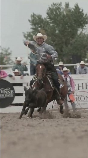 Calf Roping Cheyenne Frontier Days