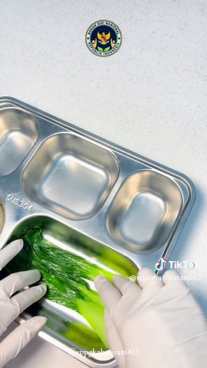 Makan Bergizi Gratis: Menu MBG dan Resep Sederhana