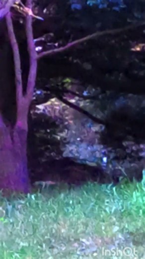 【2025年ベスト７UFO動画ランキング】👑７位そこには異次元の世界が⁈#ufo361 #automobile #未確認超常現象 #alien