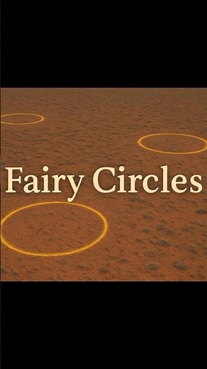 Fairy Circles of Namibia | Earth’s Silent Mystery