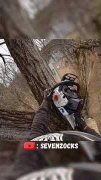 Arborist Tips (V-Cut)