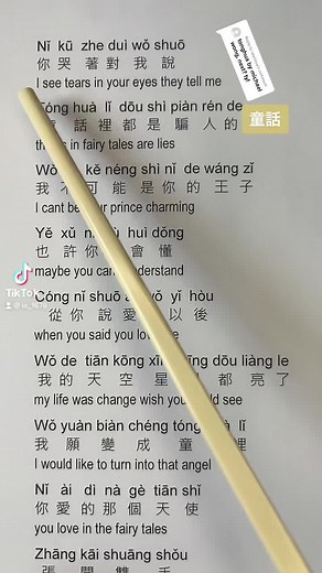 Michael Wong - Tong Hua (童话) Mandarin Song Lyrics