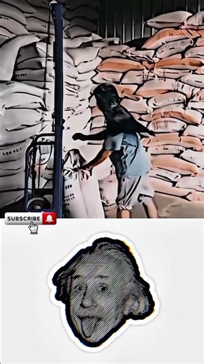 A smart idea ✔️ | #physics #shorts