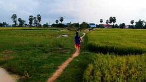 Children, Run, Field. Free Stock Video