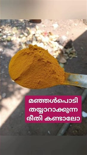 Homemade turmeric powder #homemade #turmeric #@suchisathi23