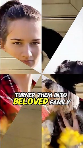 The Untold History of Miniature Schnauzers: From Fierce Rat Hunters to Beloved Family Companions