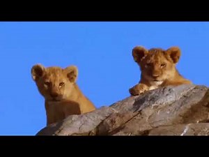 Pride (2004) BBC film