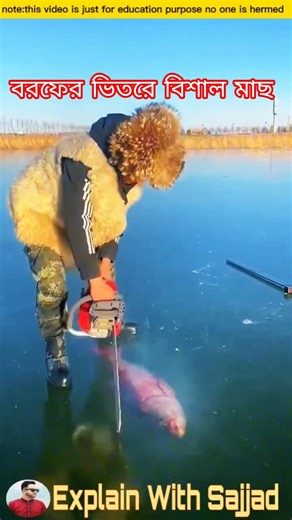বরফ কেটে মাছ বের করতে গিয়ে কি হল দেখুন #viralvideo #facts #fishinglife #fishing #fishinggear #fish