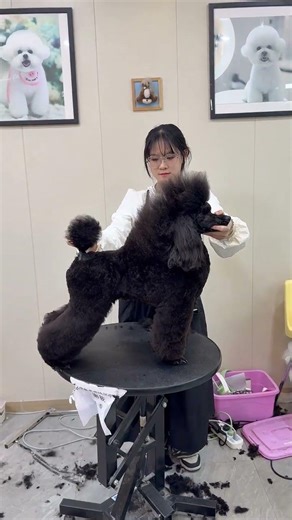 The first practice work of the VIP-shaped student