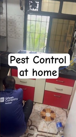 Called Urban company for doing pest control at home for cockroaches and ants.