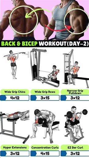 ⚡ 30 Sec Bicep & Back Blast 💪