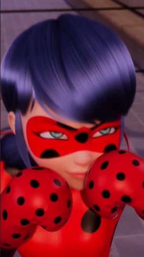Quem é boxeador e fã de Miraculous aqui? 🥊🐞 #miraculous #asaventurasdeladybug