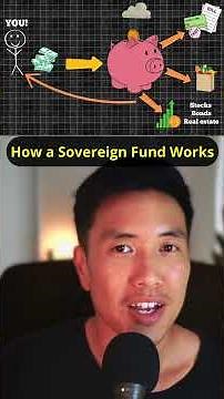 How a Sovereign Wealth Fund Works
