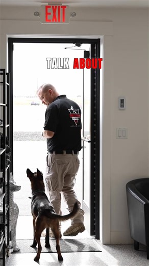 🐶 🐾 Want a stronger, happier relationship with your dog? Try these 5 bond-boosting tips! Your relationship with your dog can get stronger every single day — and it doesn’t take hours of training. Here’s how: 1️⃣ Hand-feeding: Turn meals into trust-building moments. 2️⃣ Check-in/Focus command: Keep their attention and deepen communication. 3️⃣ Frequent walks & play: Fun exercise = stronger connection. 4️⃣ Build trust: Consistency, patience, and kindness go a long way. 5️⃣ Boundaries: Clear rule