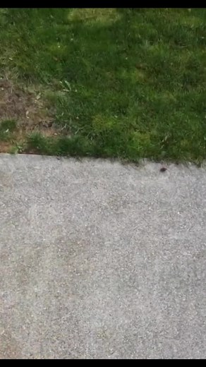 27K views · 712 reactions | DIY Sliding Deck Gate! #diy #alwayslearning #slidinggate #tipsandtricks #deck | BYOT | Facebook