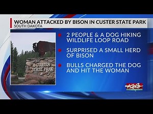 Woman attacked by bison in Custer State Park