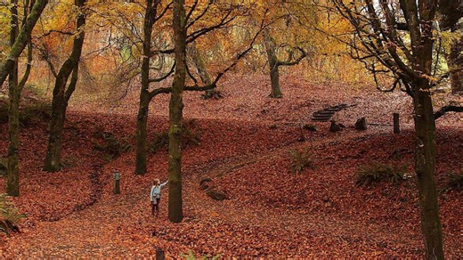 When is the first day of fall?