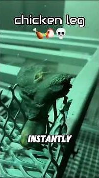 Sandblaster Power Extreme.