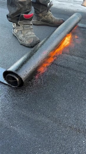 Plastic Membrane vs Bitumen: Which Roof is Better?