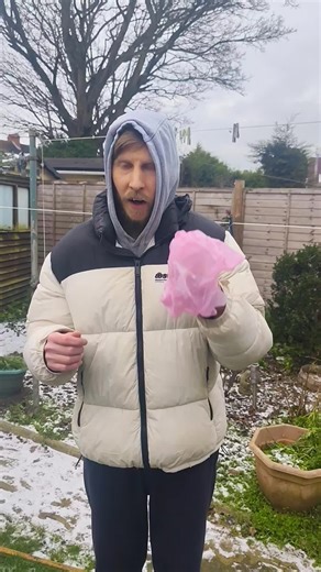 How to Properly Clean Up After Your Dog