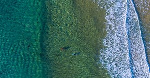 Surf on the South Coast