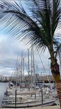 You Need to Visit Lanzarote at Least Once! #shorts #travel