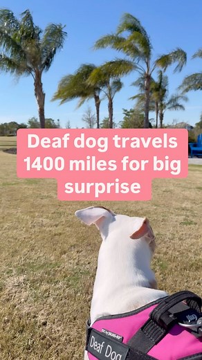 660K views · 31K reactions | I hope this video is shared and inspires...