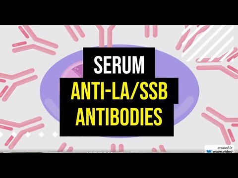 Anti La SSB Antibodies Test Explained