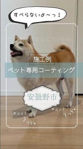 ペットが滑らない・清潔安心安全なフロアコーティングがおすすめ！お家のわんちゃんねこちゃんは滑っていませんか？ #長野県 #ペット専用フロアコーティング #滑らない床 #ペットの健康 #ペットと暮らす家