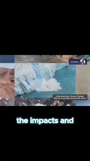 Climate Change Explained: What Can We Do Right Now? | TerraNova