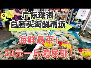 廣東珠海最大海鮮市場！吃海鮮最平地方！這裡實現海鮮自由！20元一斤瀨尿蝦！25元海螺！100元3隻糕蟹！珠海旅遊VLOG！旅遊影片！旅遊攻略！飯店價格！美食探店攻略！Seafood Market 粵語